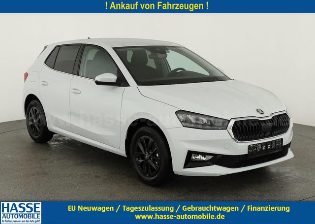 Skoda Fabia - Selection 1.0 TSI Selection, 15-Zoll schwarz, Winter, Ladeboden