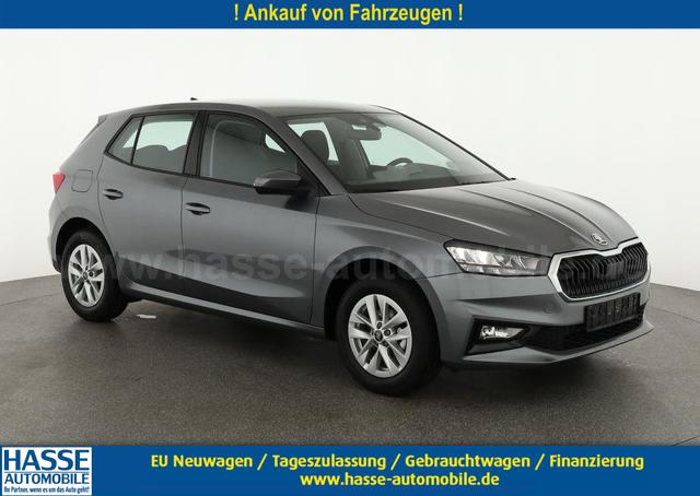 Skoda Fabia - Selection 1.0 MPI 130 Jahre, Kamera, Winter, 15-Zoll, Park