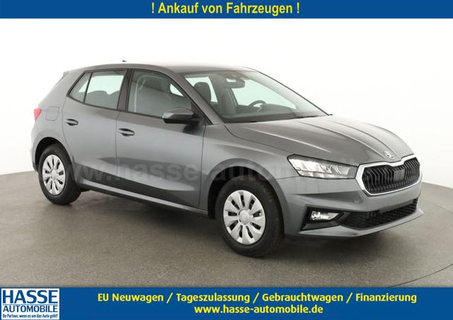 Skoda Fabia - Selection 1.0 TSI Selection, Ladeboden, Park, Winterpaket, SmartLink, 4 J.-Garantie