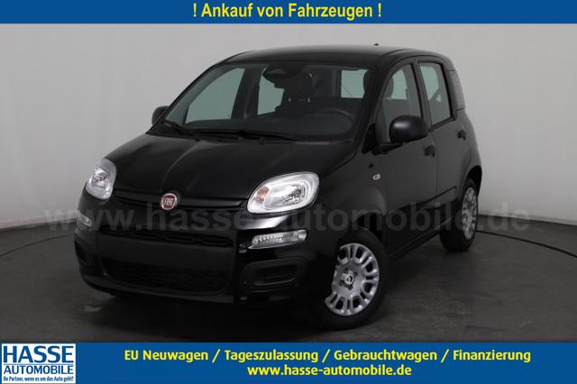 Fiat Panda - Pandina Icon (Pandina Icon) 1.0 Mild-Hybrid (65PS) 6-Gang Schaltgetriebe
