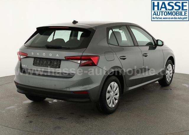 Skoda Fabia Selection 1.0 TSI Selection, Tempomat, Park, Winterpaket, SmartLink, 4-J Garantie 