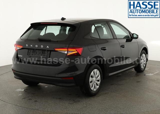 Skoda Fabia Selection 1.0 TSI Selection, Tempomat, Park, Winterpaket, SmartLink, 4-J Garantie 