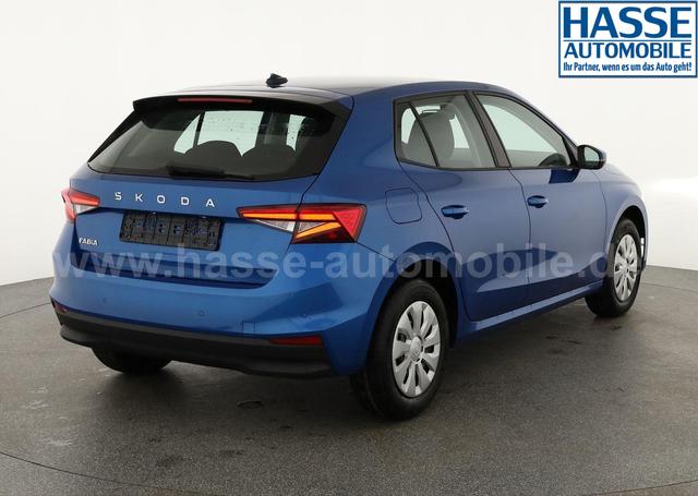 Skoda Fabia Selection 1.0 TSI Selection, Park, Winterpaket, SmartLink, 4-J Garantie 