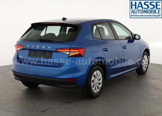 Skoda Fabia Selection 1.0 TSI Selection, Tempomat, Park, Winterpaket, SmartLink, 4-J Garantie 