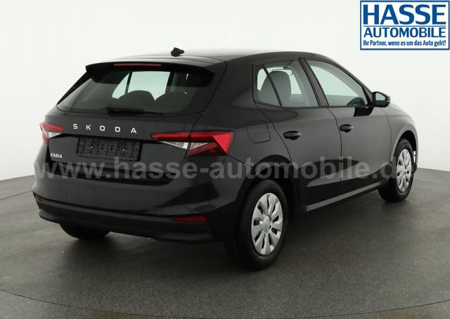 Skoda Fabia Selection 1.0 TSI Selection, Park, Winterpaket, SmartLink, 4-J Garantie 