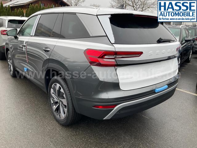 Skoda Kodiaq 2.0 TDI 142 kW 4x4 Selection DSG Selection, 7-Sitzer, AHK, Navi, Side, Kamera, Winter, 19-Zoll 