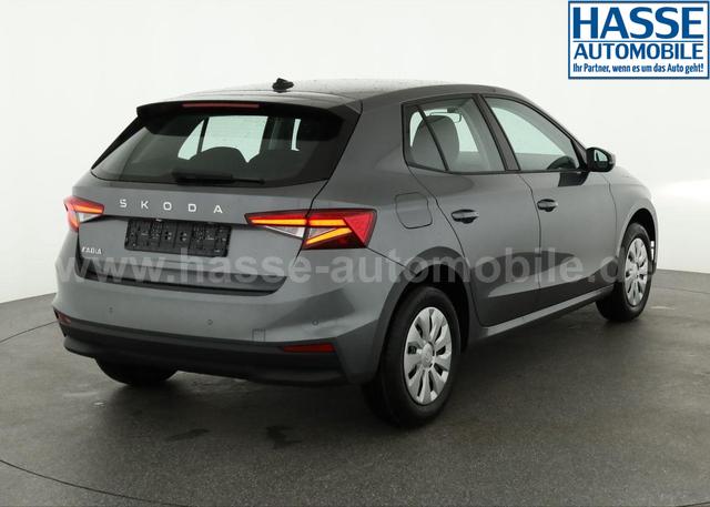 Skoda Fabia Selection 1.0 TSI Selection, Park, Winterpaket, SmartLink, 4-J Garantie 
