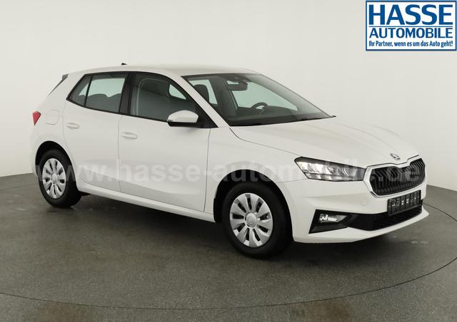 Skoda Fabia Selection 1.0 TSI Selection, Ladeboden, Park, Winterpaket, SmartLink, 4-J Garantie 