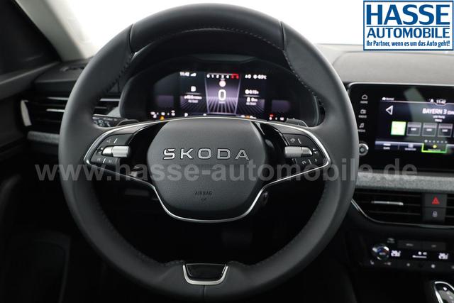 Skoda Kamiq Selection 1.0 TSI DSG Selection, AHK, Matrix, 16-Zoll, Kamera, Winter, 4-J Garantie 