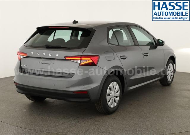 Skoda Fabia Selection 1.0 TSI Selection, Tempomat, Park, Winterpaket, SmartLink, 4 J.-Garantie 