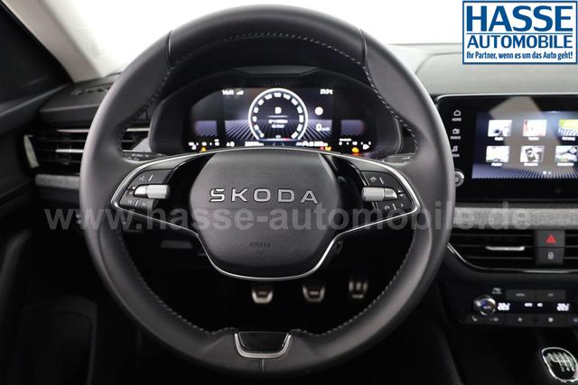 Skoda Kamiq Selection 1.5 TSI Selection, AHK, 16-Zoll, Kamera, Winter, 4-J Garantie 