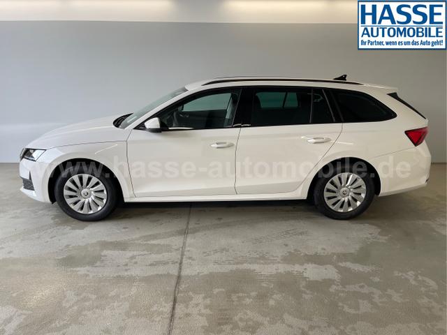 Skoda / Octavia Combi / Weiß / / / DSG AHK+Sitzheizung+App Connect