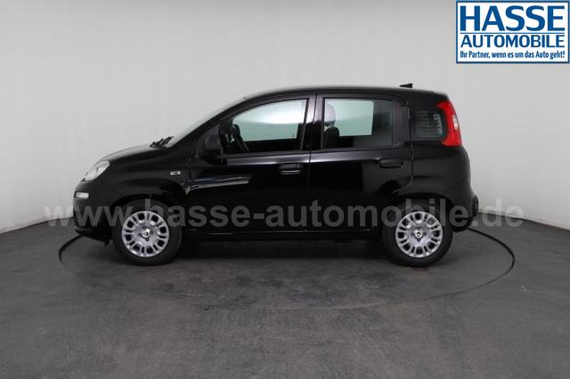 Fiat Panda Pandina Icon (Pandina Icon) 1.0 Mild-Hybrid (65PS) 6-Gang Schaltgetriebe 