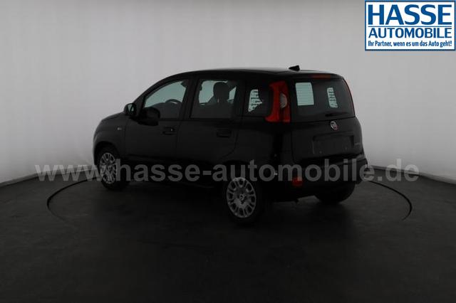 Fiat Panda Pandina Icon (Pandina Icon) 1.0 Mild-Hybrid (65PS) 6-Gang Schaltgetriebe 