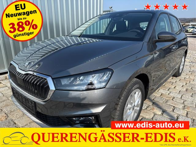 Skoda / Fabia / Grau / / / , Beispielbilder, ggf. teilweise mit Sonderausstattung