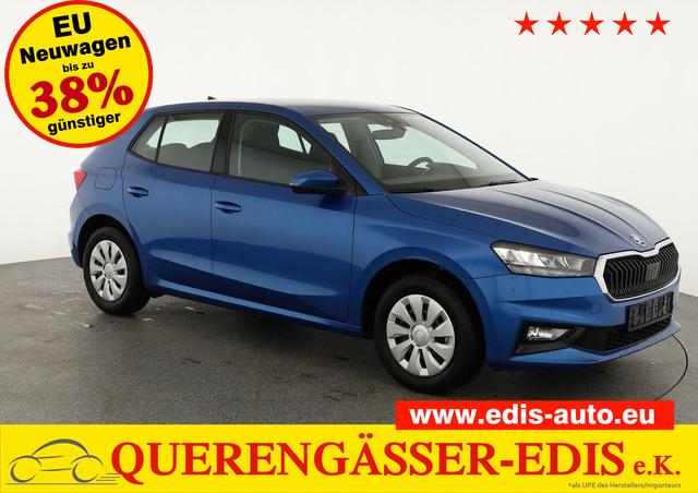 Skoda Fabia Selection 1.0 TSI Selection, Ladeboden, Park, Winterpaket, SmartLink, 4-J Garantie 