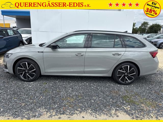 Skoda / Octavia / Grau / / / 
