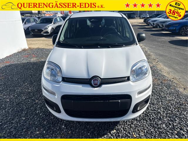 Fiat / Panda / Grau / / / 