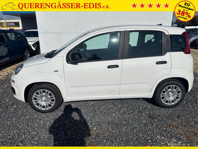 Fiat / Panda / Grau / / / 