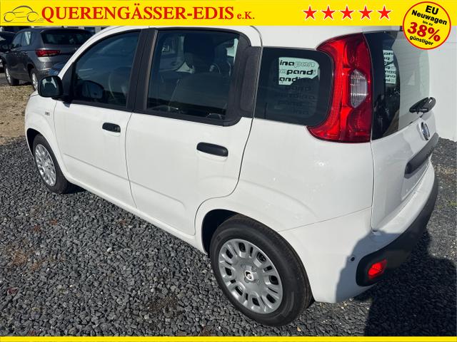 Fiat / Panda / Grau / / / 