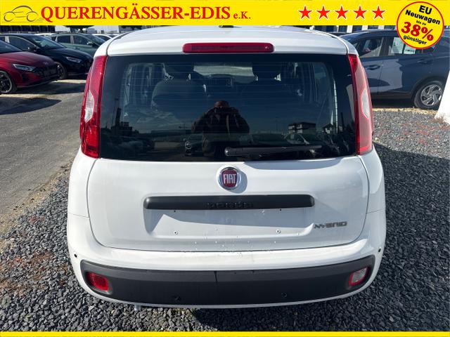 Fiat / Panda / Grau / / / 