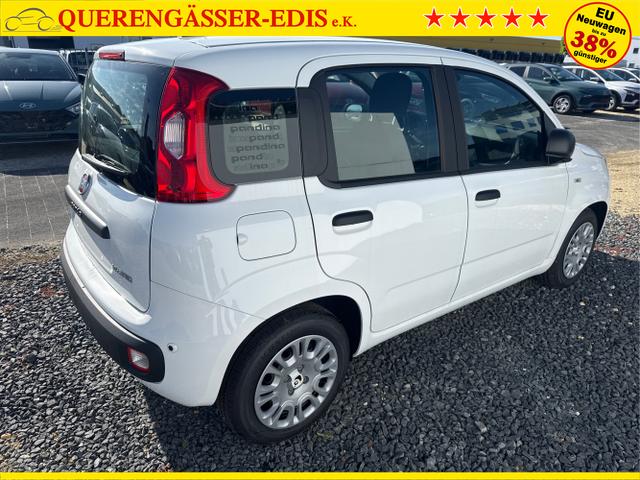 Fiat / Panda / Grau / / / 