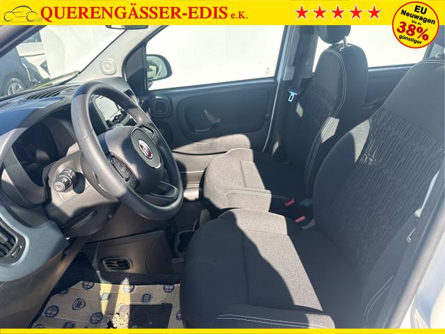 Fiat / Panda / Grau / / / 
