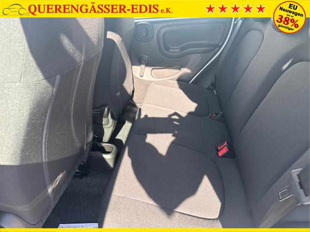 Fiat / Panda / Grau / / / 