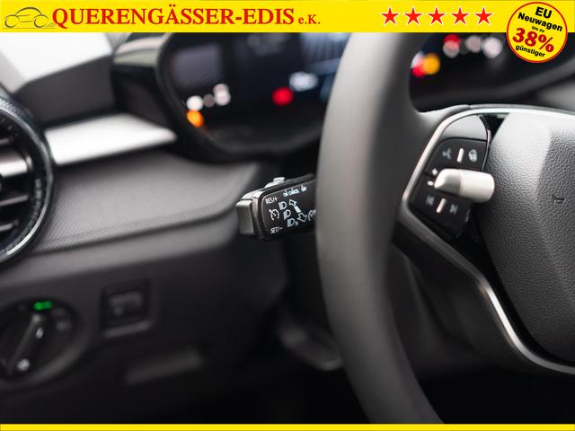 Skoda Fabia Selection 1.0 TSI *SHZ*LED*KLIMAAUTO. 