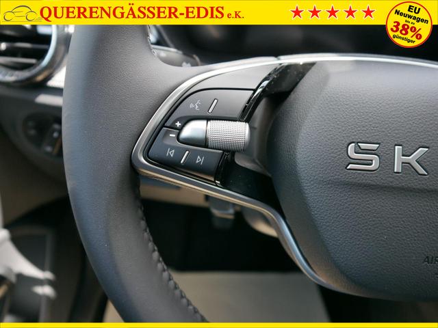 Skoda Fabia 130 Jahre 1,0 MPI *LED*PDC HI.*RFK*APP-CONNECT*SHZ*KESSY*KLIMA*DAB* 