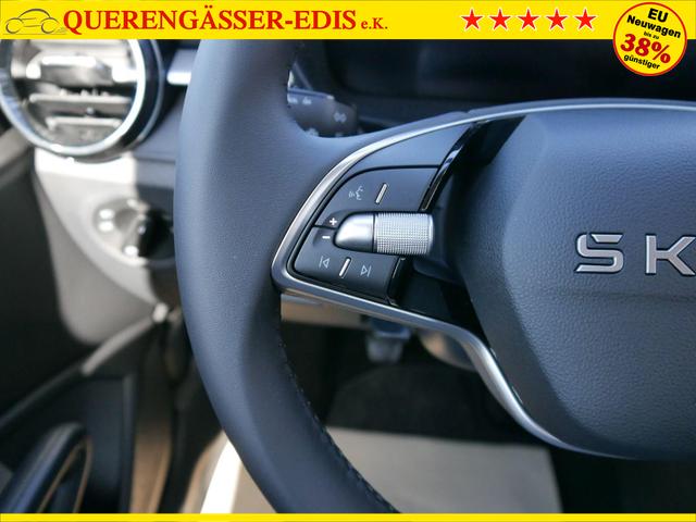 Skoda Fabia 130 Jahre 1,0 MPI*KAMERA*PDC HI.*SHZ*APP-CONNECT*LED*KESSY*KLIMA*DAB* 