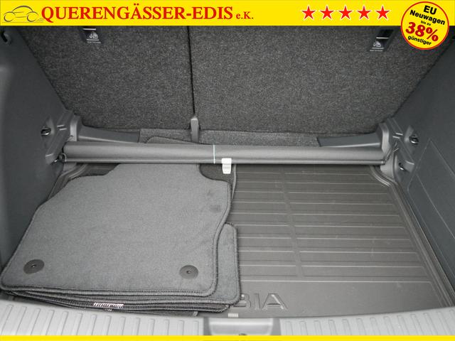 Skoda Fabia Selection 130 Jahre Plus 1,0 TSI*LED*PDC-HI-KAMERA*SMARTLINK*TEMPOMAT*KLIMA*SHZ 