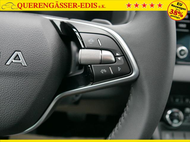 Skoda Karoq Selection 2.0 TDI DSG 4x4*AHK*PDC-HI*LED*SHZ*SMARTLINK*TEMPOMAT 