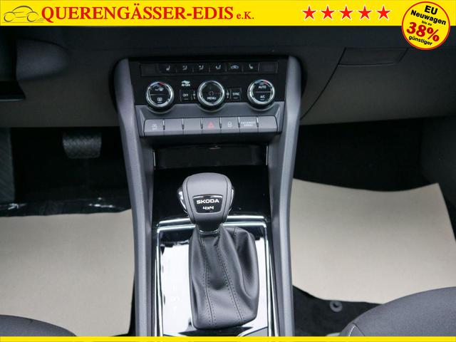 Skoda Karoq Selection 2.0 TDI DSG 4x4*AHK*PDC-HI*LED*SHZ*SMARTLINK*TEMPOMAT 