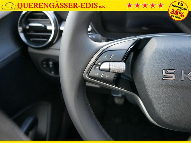 Skoda Fabia Selection 1.0 TSI *NAVI-&Uuml;BER-SMARTLINK*PDC-HI*LED*SHZ*KLIMA*RADIO 