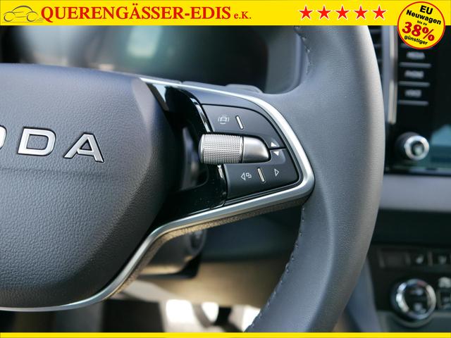 Skoda Karoq Selection 2.0 TDI DSG 4x4*AHK*PDC-HI*LED*SHZ*SMARTLINK*TEMPOMAT 