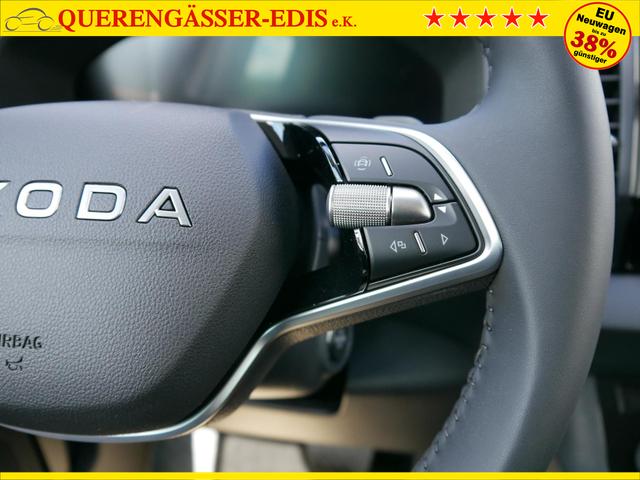 Skoda Karoq Selection 2.0 TDI DSG 4x4*AHK*PDC-HI*LED*SHZ*SMARTLINK*TEMPOMAT 