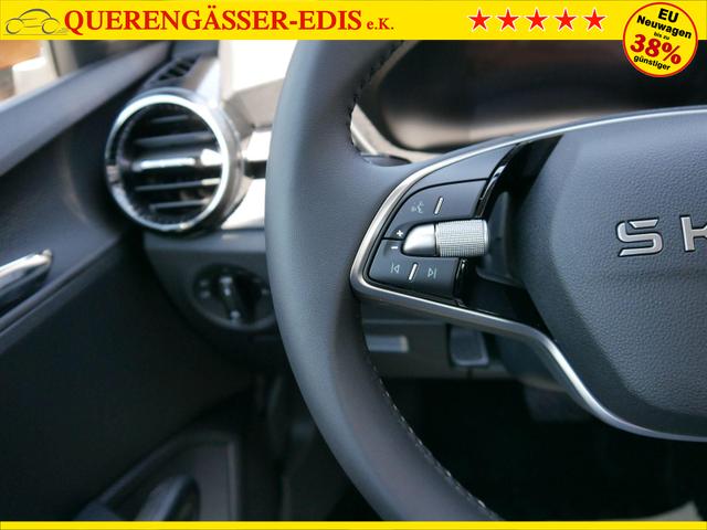 Skoda Fabia Selection 1.0 TSI DSG*NAVI-&Uuml;BER-SMARTLINK*LED*PDC-HI*SHZ*DAB*KLIMA 