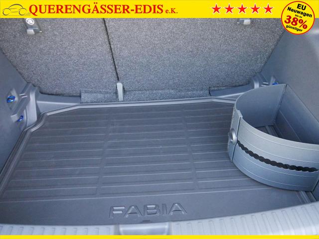 Skoda Fabia Edition 130 Jahre PLUS 1,0 MPI*LED*PDC-KAMERA*SMARTLINK*SHZ*TEMPOMAT*KLIMA 