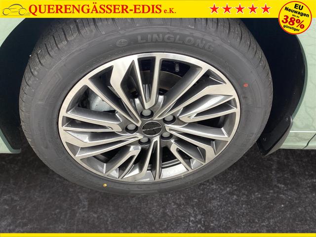 DFM / DFM Forthing 4 / Hellgrün / / / 