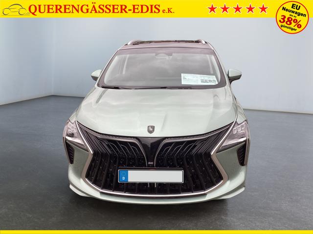 DFM / DFM Forthing 4 / Hellgrün / / / 