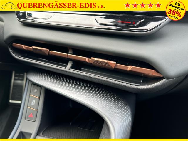 CUPRA / Terramar / Grau / / / 2.0 TSI DSG 4Drive / Standheizung AHK
