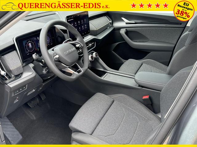 Skoda / Kodiaq / Grau / / / DSG+NAVI+19'' ALU+ACC+KAMERA