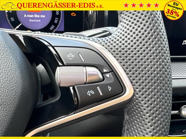 Skoda / Kodiaq / Grau / / / DSG+NAVI+19'' ALU+ACC+KAMERA