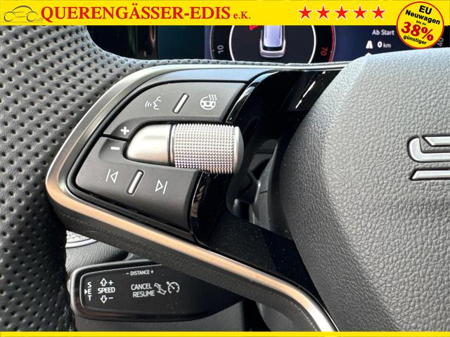 Skoda / Kodiaq / Grau / / / DSG+NAVI+19'' ALU+ACC+KAMERA
