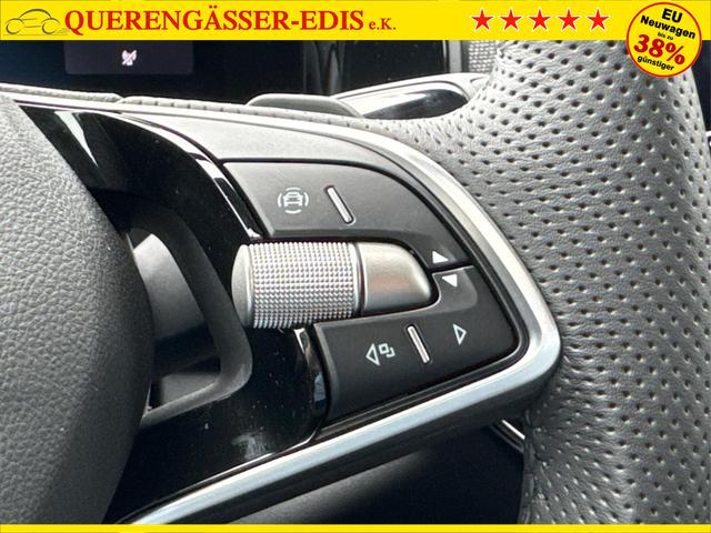 Skoda / Kodiaq / Grau / / / 4WD+DSG+NAVI+19'' ALU+ACC+KAMERA