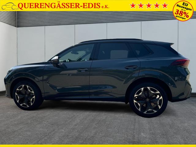 Cupra / Terramar / / / / 