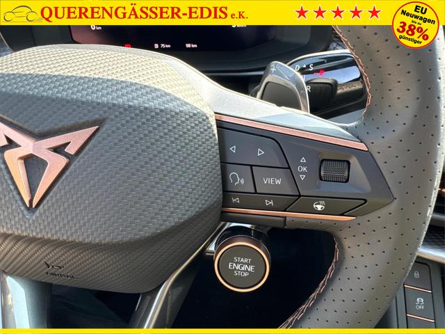 Cupra / Terramar / / / / 