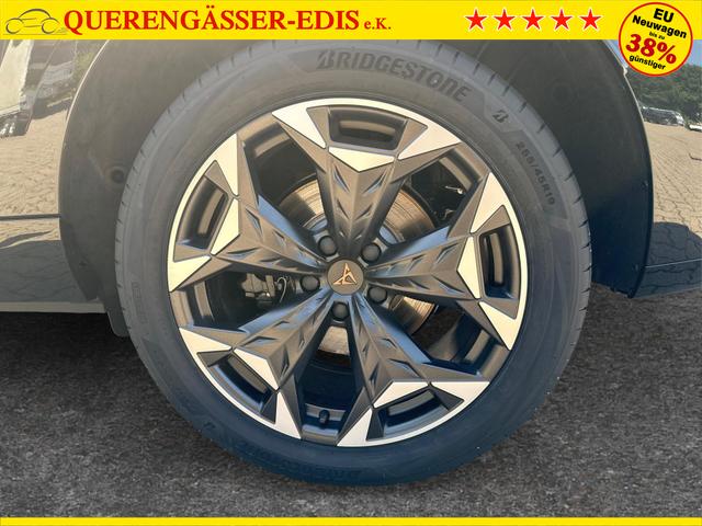 Cupra / Terramar / / / / 