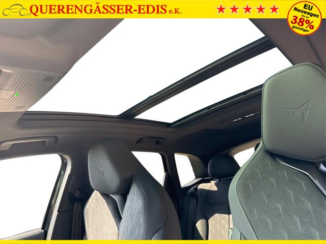 Cupra / Terramar / / / / 